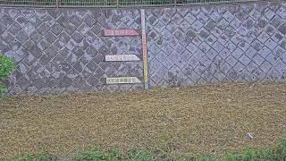 境橋映像監視局