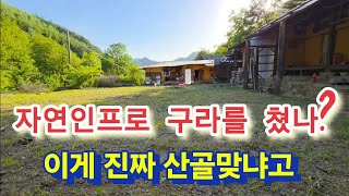 자연인프로는 시청자를 속여 쇼했나 깍새 너는 구라안치냐?