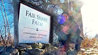 Fermenting as a Business | Fair Share Farm CSA