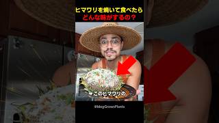 ヒマワリを焼いて食べたらどんな味がするの？