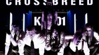 Crossbreed Reflection