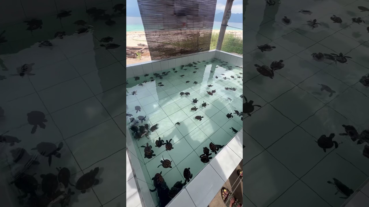 YouTube Short thumbnail