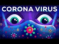 The Coronavirus Explained & What You Should Do