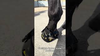 Boty pro koně Scootboot TheraRide 2 ks