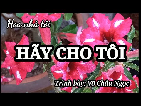 KARAOKE GIVE ME (WITH LYRICS)