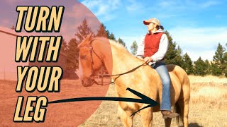 HOW TO TURN A HORSE WITH YOUR LEGS