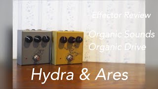 Video thumbnail for 【Organic Sounds Organic drive】レスポールでHydraとAres簡単レビュー by sukuta takafumi