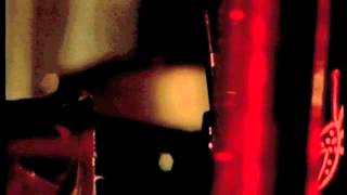 Michael MANRING & Jan WOLKAMP : Teen Town Tribute