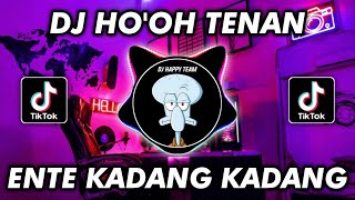 Download lagu DJ HOOH TENAN X ENTE KADANG KADANG VIRAL TIKTOK TERBARU 2022 mp3