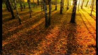 #nowplaying Stephanie Mills - Still Mine