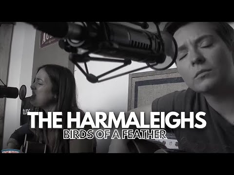 Acme Radio Session: The Harmaleighs - Birds of a Feather