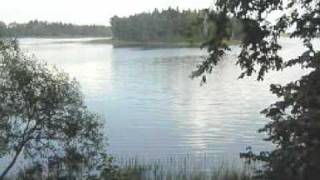 The Light Springs for violin and alto flute by  Imants Zemzaris (Latvian composer)