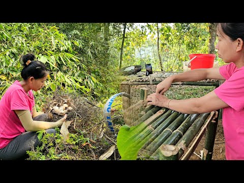 The Thread of Love: Bamboo Dish Rack and Surprise Gift for Mom