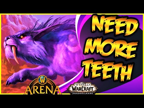 Shadowlands Resto Druid PvP | Arena Gameplay MM Hunter [WoW 9.2]