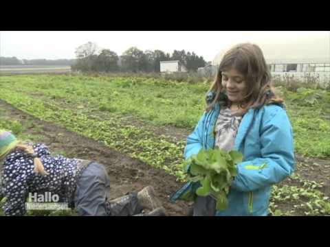 Handlungspädagogik auf dem CSA Hof Pente