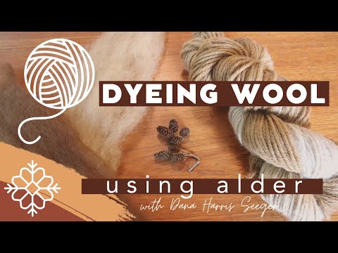 Dyeing Wool using Red Alder Cones