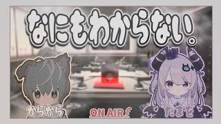 【ラジオ】なにもわからない。