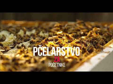 Pčelarstvo za početnike Pčelar Tasić
