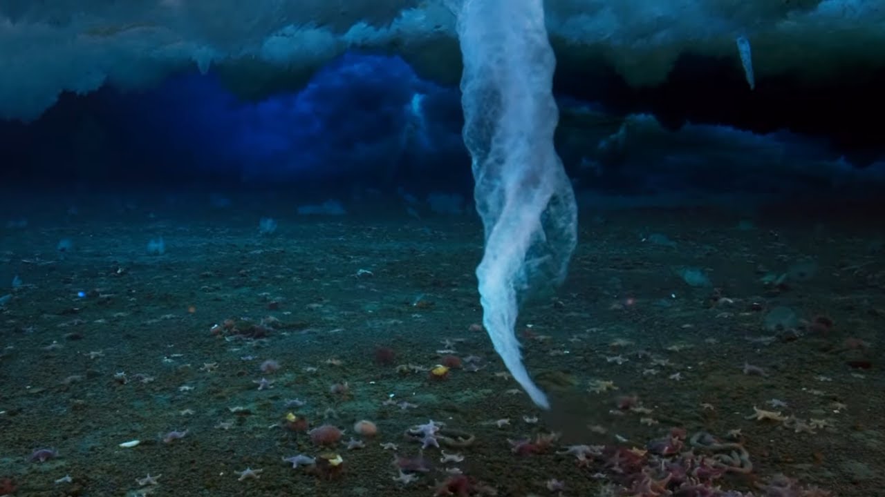 Filming Antarctica's Underwater Secret | Wild Stories | BBC Earth
