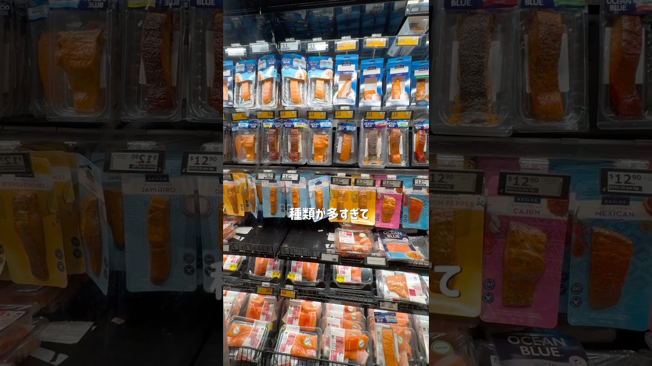 ニュージーランドのスーパー魚好きには危険地帯⚠️#shorts