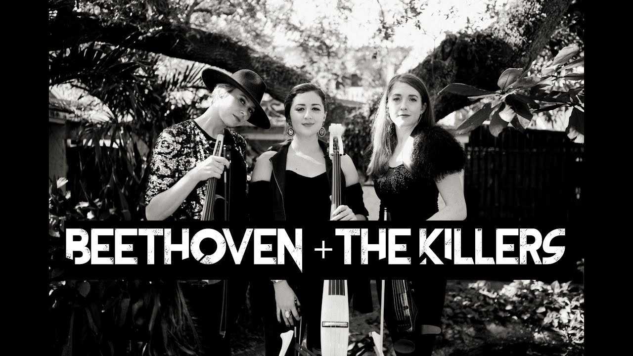 Promotional video thumbnail 4 for Melodies Under The Palms