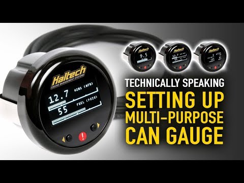 💬 How To Set Up Haltech Multi-Function CAN Gauge - Technically Speaking