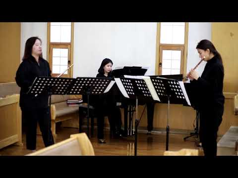 Grand concerto fantasy opus 5 for two flute and piano