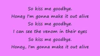 Snakes on a plane lyrics