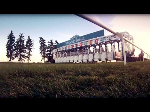 #WoMile | Meet the 2015 Ricoh Woodbine Mile Contenders