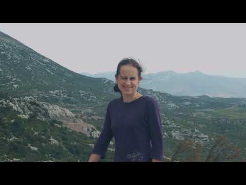 Travel in Motion - Murter