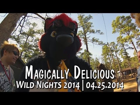Wild Nights: Magically Delicious