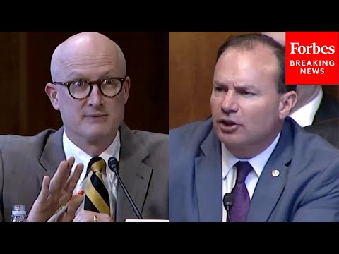 'That's Part Of The Lawsuit': Mike Lee Fires Back At Witness Defending Google