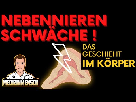 NEBENNIERENSCHWÄCHE: Symptome einer Insuffizienz (Arzt erklärt die Nebenniere!)