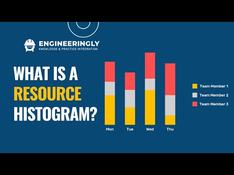 What is a Resource Histogram in Project Management?