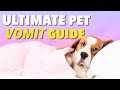 Ultimate Vomit Color Guide For Dogs Ultimate Pet Nutrition Dog Health Tips