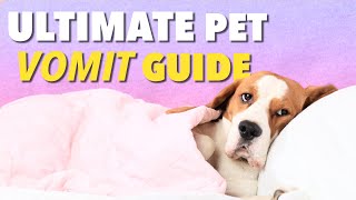 Ultimate Vomit Color Guide for Dogs | Ultimate Pet Nutrition - Dog Health Tips