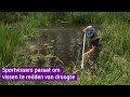 Massale vissterfte ligt op de loer