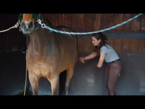 WorldSoul - Teaser Federica Sileoni