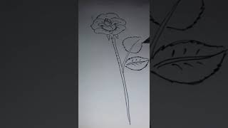 preview picture of video 'How to draw a Rose'