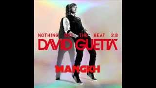 Download lagu David Guetta She Wolf... mp3
