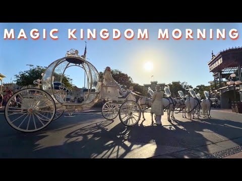 Live webcam of The Disney With Sean Show