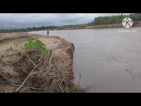 Río San Francisco Puente de palo jujuy