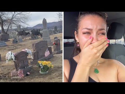 Woman receives emotional sign at her boyfriend's grave