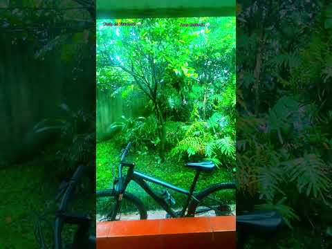 União da Vitória, Paraná e Porto União, Santa. #chuva #bomdia #gratidão #diachuvoso #chuvoso #bike