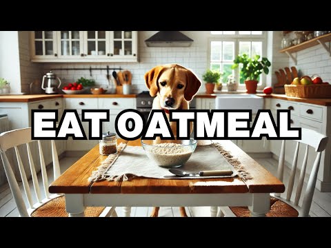 Can Dogs Eat Oatmeal? Explained