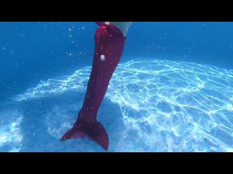 Schwimmpool Bargteheide 1