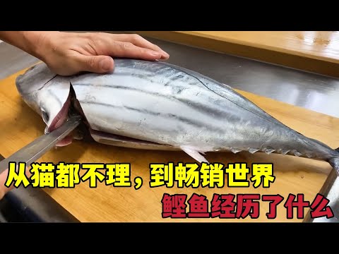 从猫不理，到畅销世界，鲣鱼经历了什么