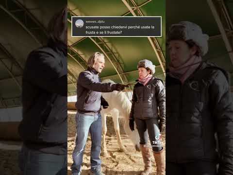 L'utilizzo della frusta nell' addestramento!