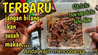 Download lagu umpan paling jitu ikan lele mogok makan racikan cacing tanah TERBARU !!!! mp3 Download lagu umpan paling jitu ikan lele mogok makan racikan cacing tanah TERBARU !!!! mp3