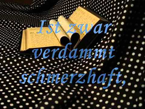 Die Toten Hosen   Alles aus Liebe